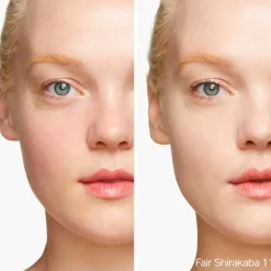 Synchro Skin Self-Refreshing Tint
