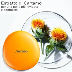 Tanning Compact Foundation SPF 10