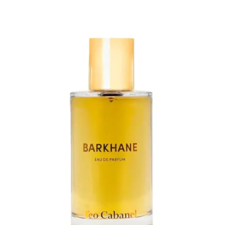 Teo Cabanel Barkhane Clean 100 ML