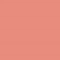 Terracotta Blush