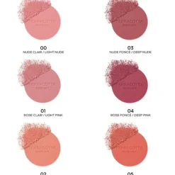 Terracotta Blush