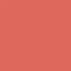 Terracotta Blush