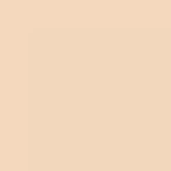 Terracotta - Le Teint
