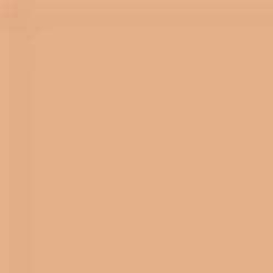 Terracotta - Le Teint