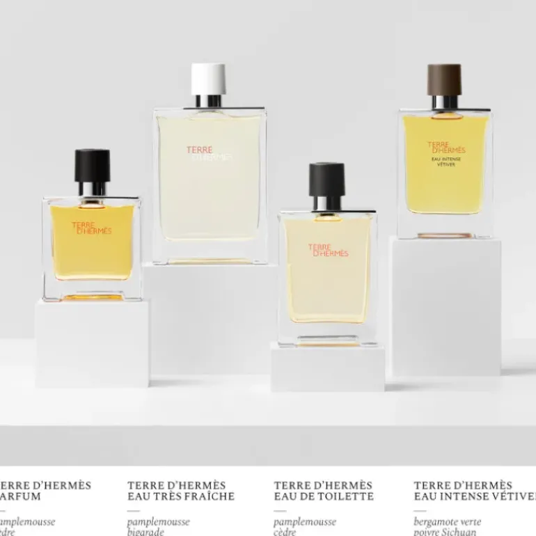Terre D'Hermes Parfum