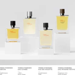 Terre d'Hermès Eau Givrée Eau de Parfum