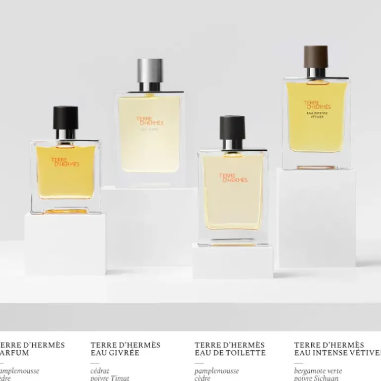 Terre d'Hermès Eau Givrée Eau de Parfum