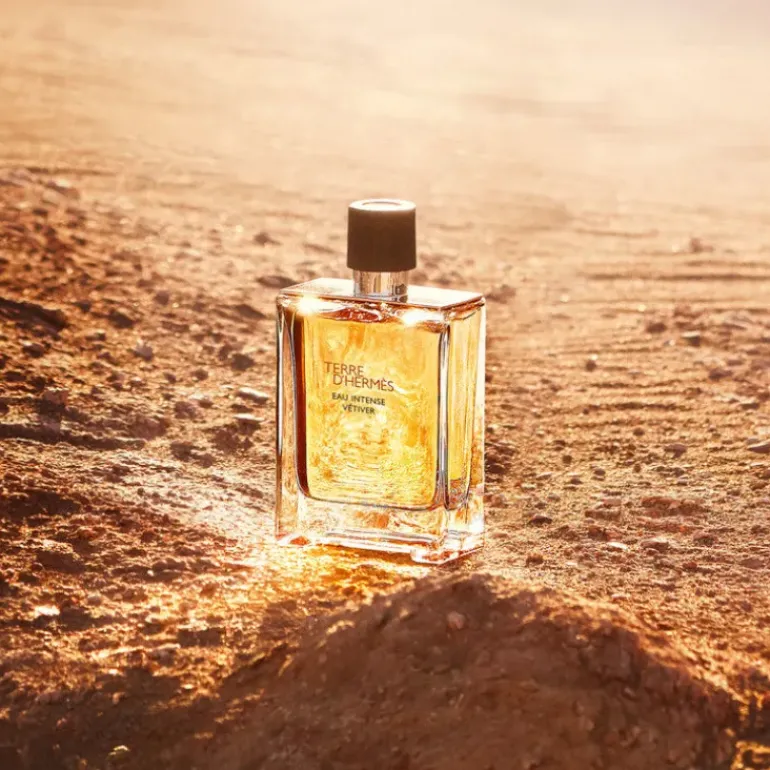 Terre d'Hermès Eau Intense Vetiver