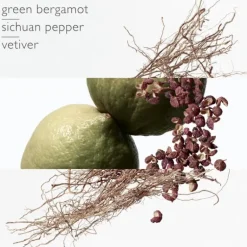Terre d'Hermès Eau Intense Vetiver