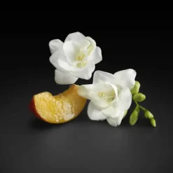 The Scent For Her