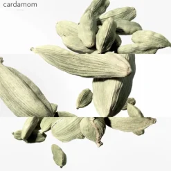 Un Jardin après la Mousson