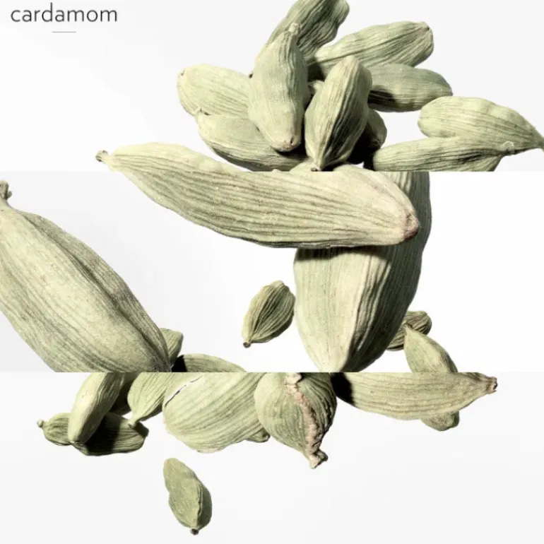 Un Jardin après la Mousson