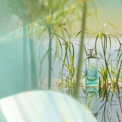 Un Jardin sur le Nil