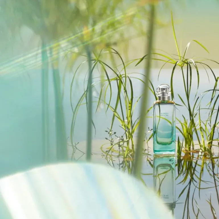 Un Jardin sur le Nil