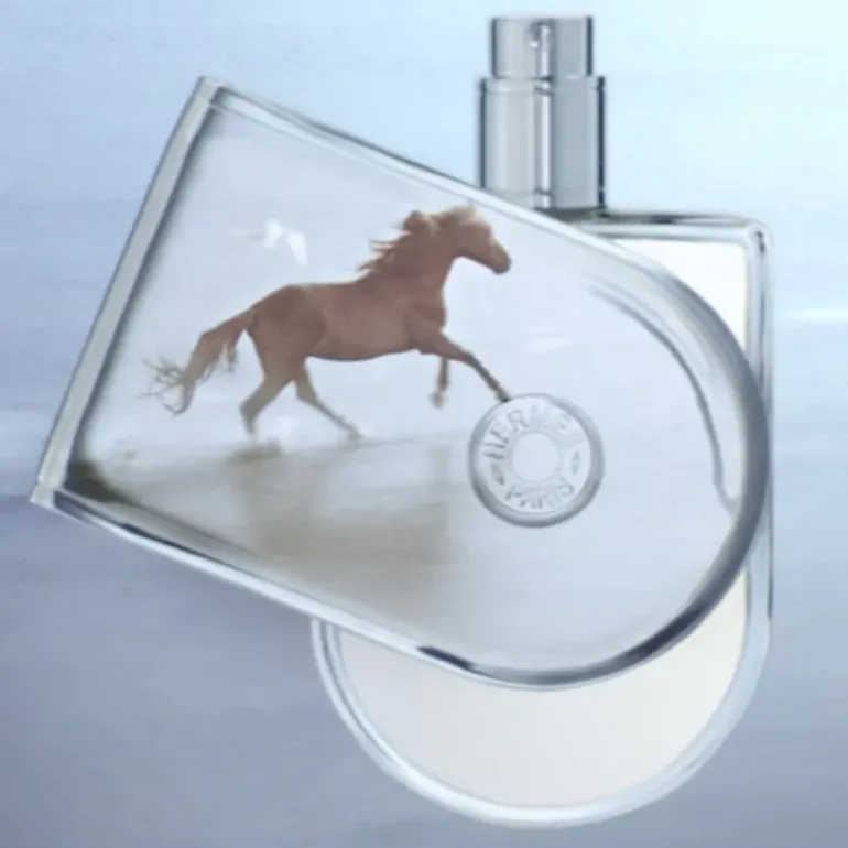 Voyage D'Hermes