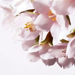 White Lucent Illuminating Micro-Spot Serum