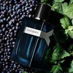 Y Men EDP Intense