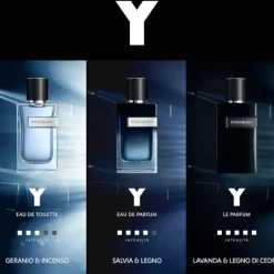 Y Men EDT New